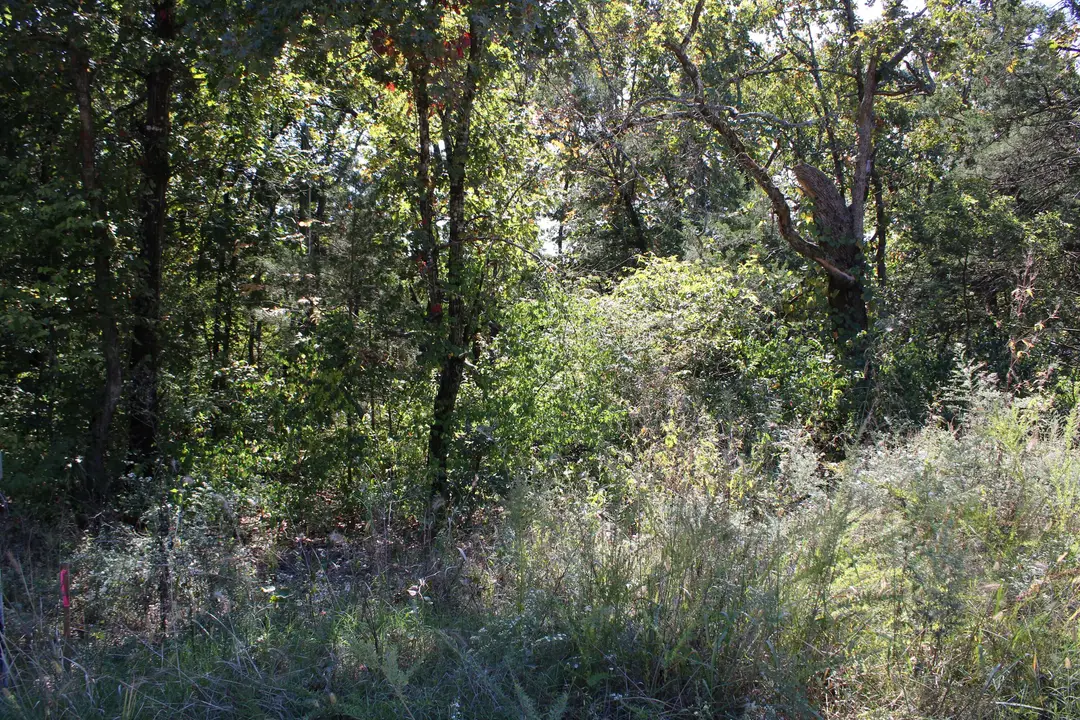 4044 Red Oak Road — photo 4