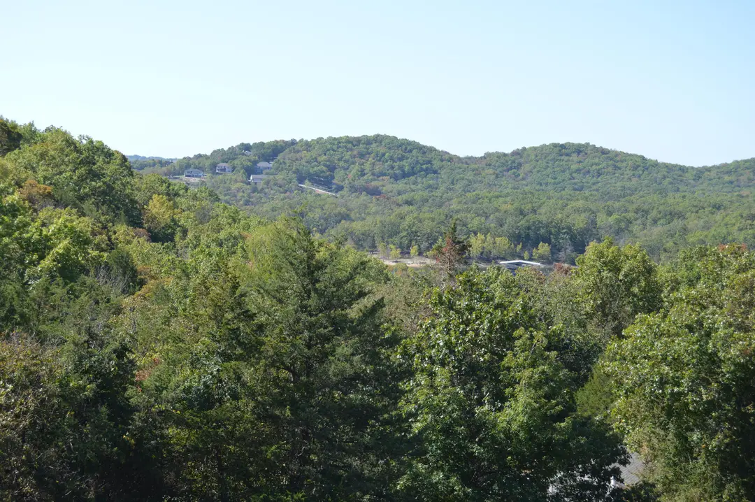 25 Chickadee Drive — photo 15
