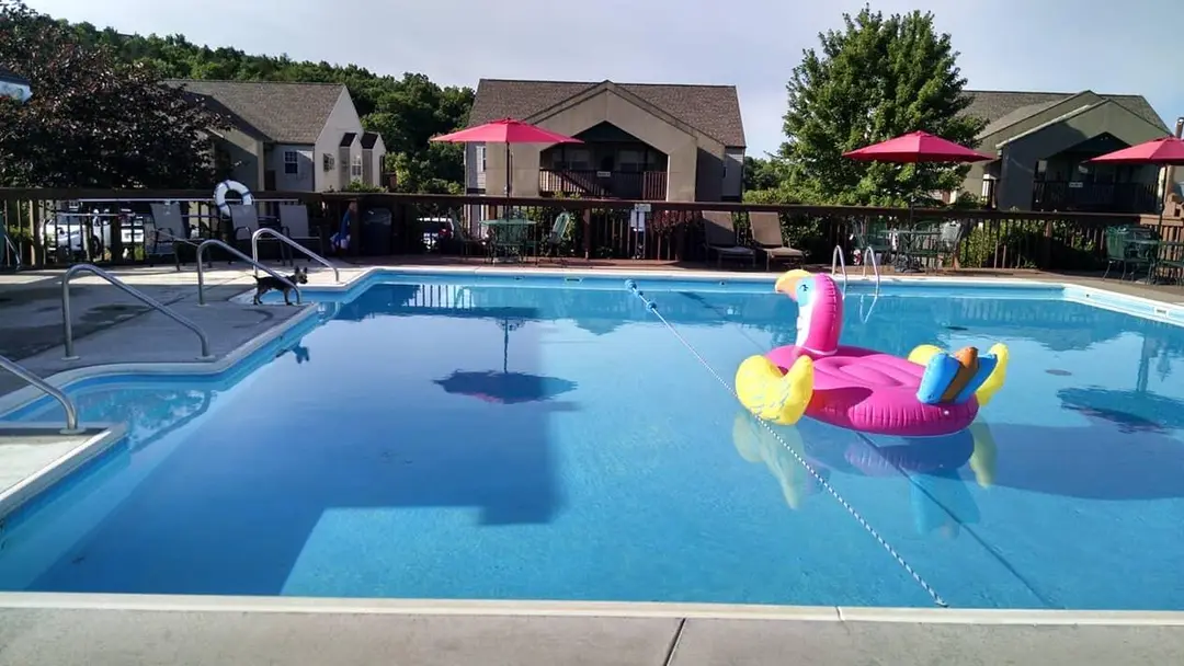 25 Chickadee Drive — photo 20