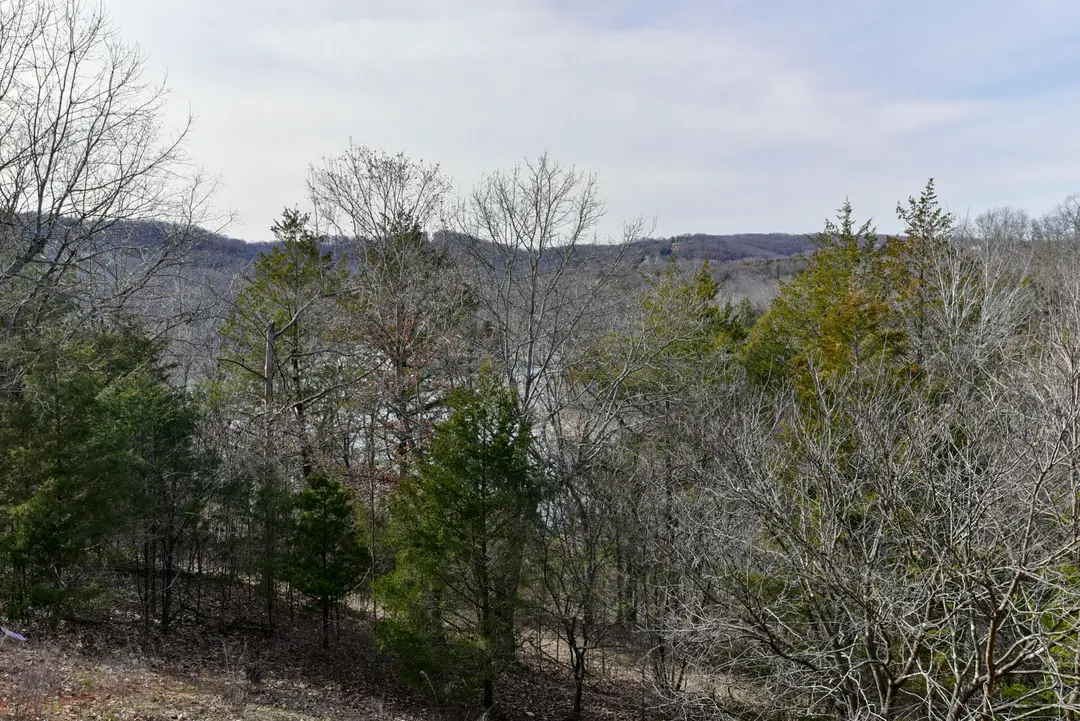 5 Woodpecker Lane