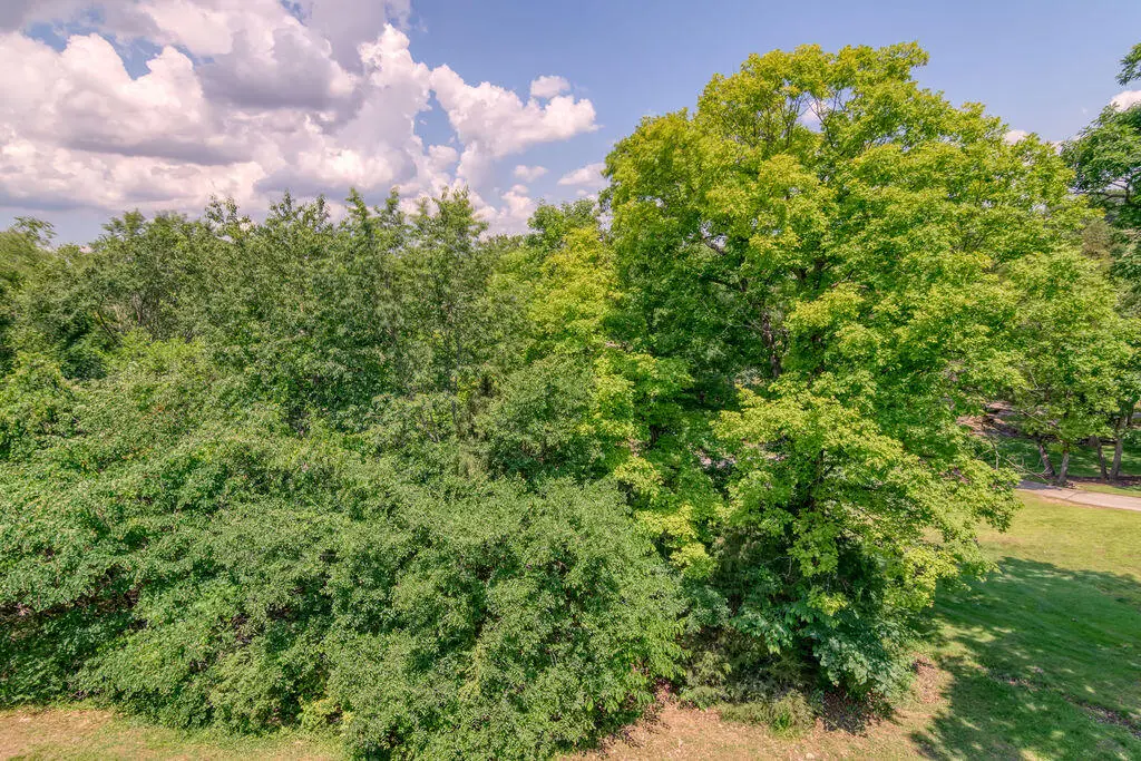 813 Holiday Ridge — photo 19