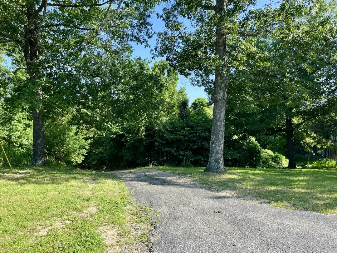 239 Notch Lane — photo 23