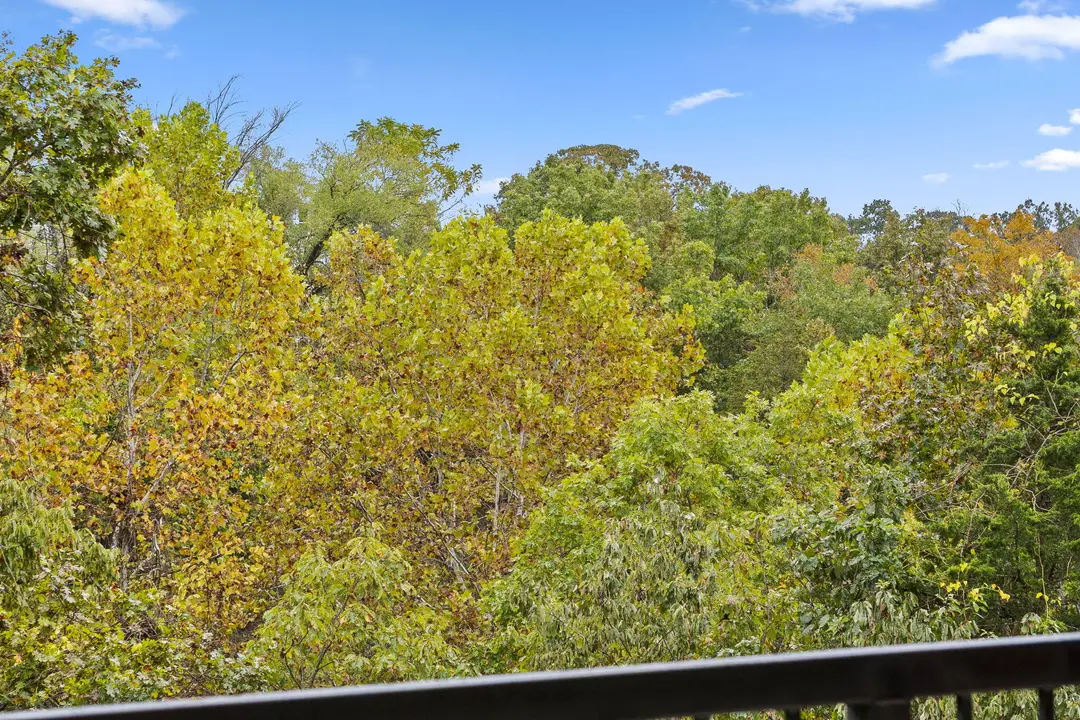 505 Valley View Drive — photo 49