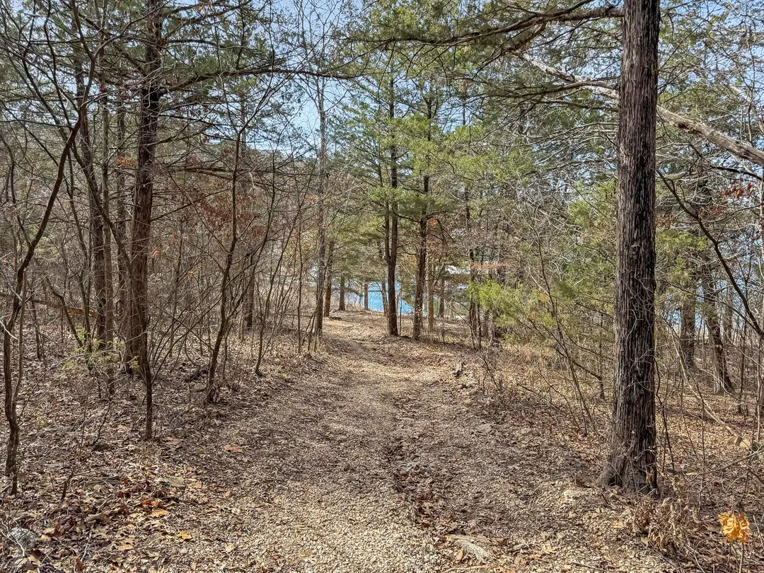 110 Kimberling Shores Lane — photo 47