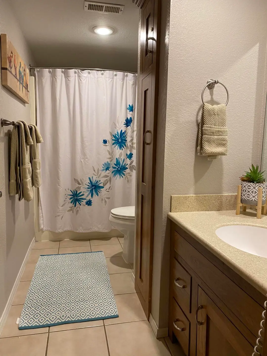 27 Blue Bird Way — photo 16