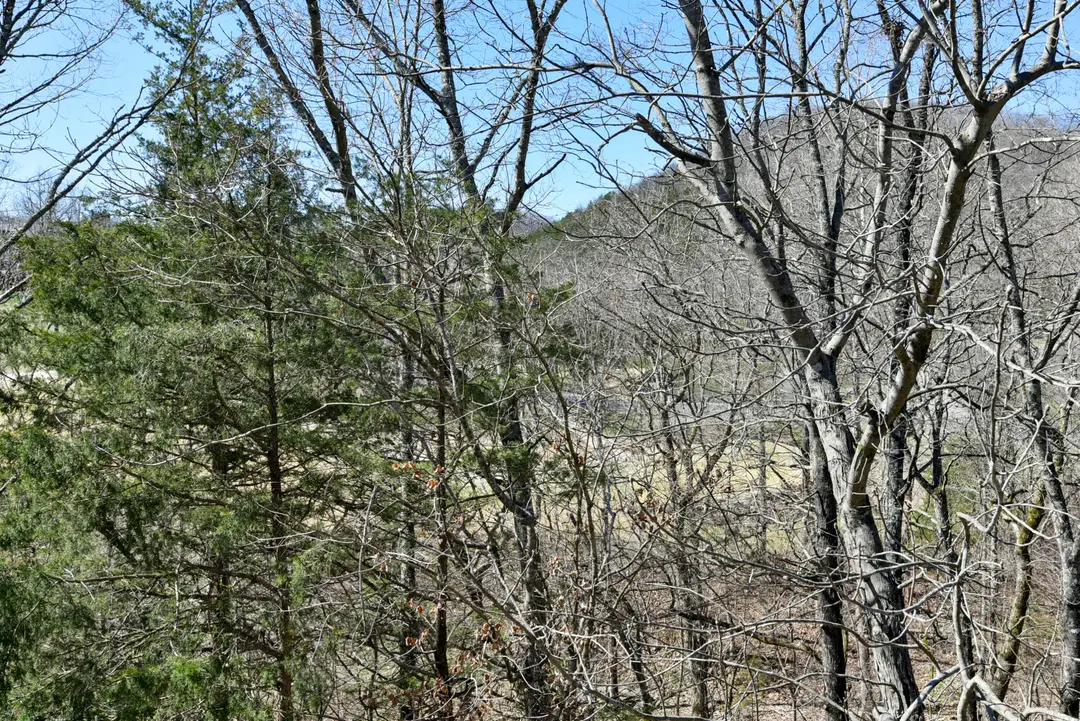 401 Silverwood Circle — photo 20