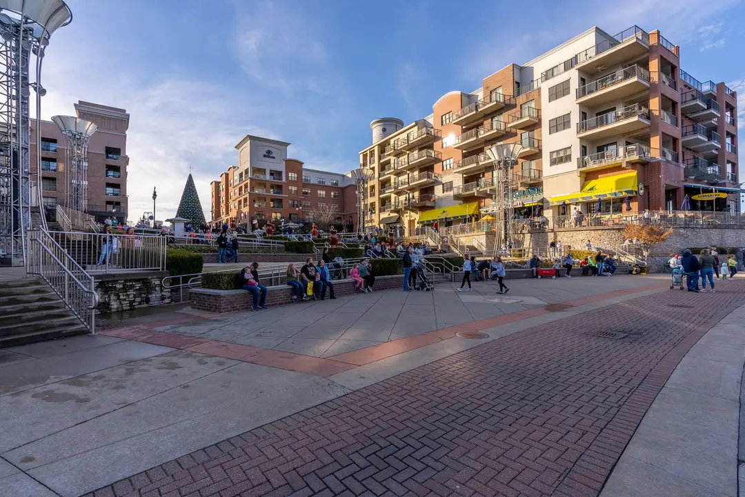 10312 Branson Landing Boulevard — photo 58