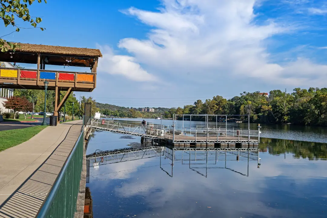 10312 Branson Landing Boulevard — photo 59
