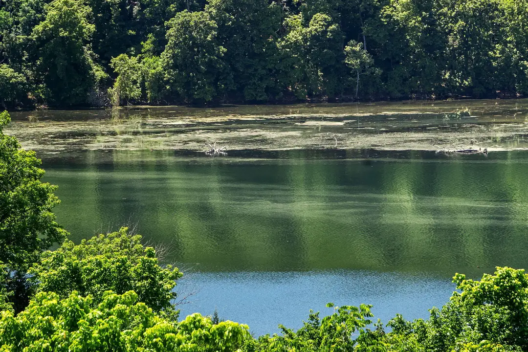 150 Sunken Forest Drive — photo 1