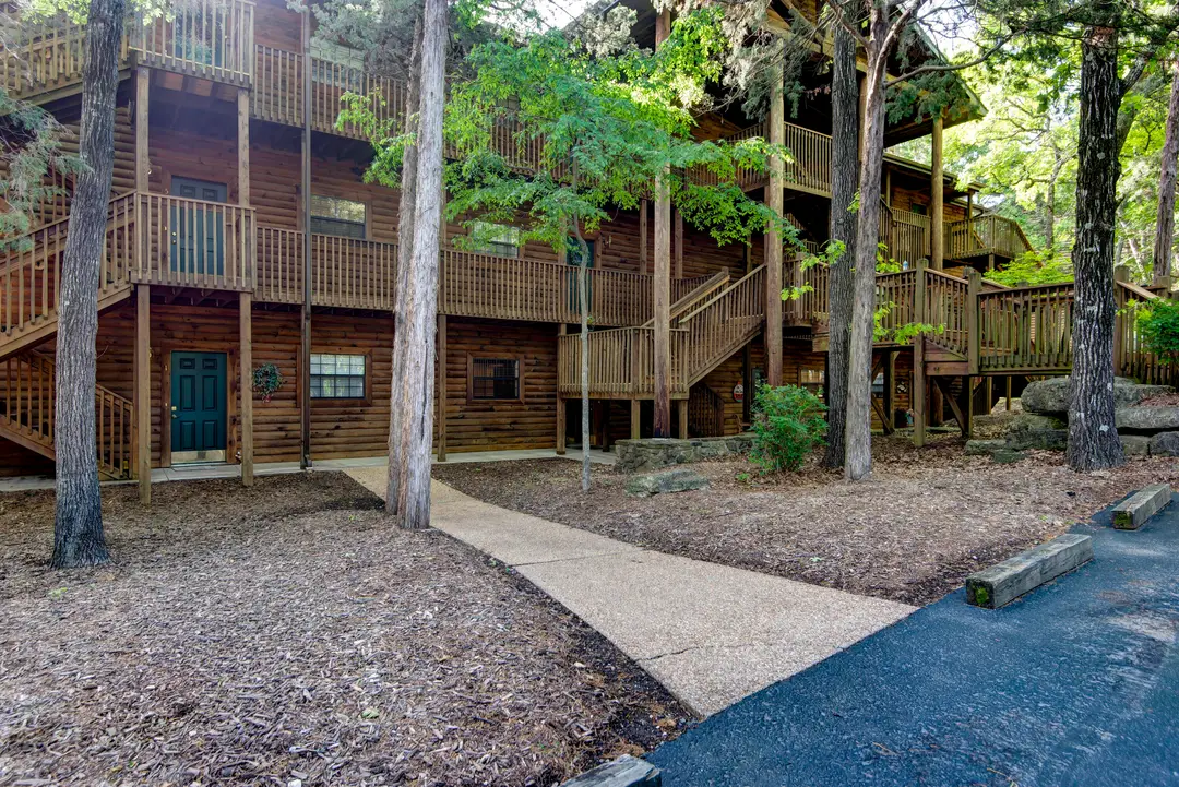 45 Leaning Tree Circle — photo 22