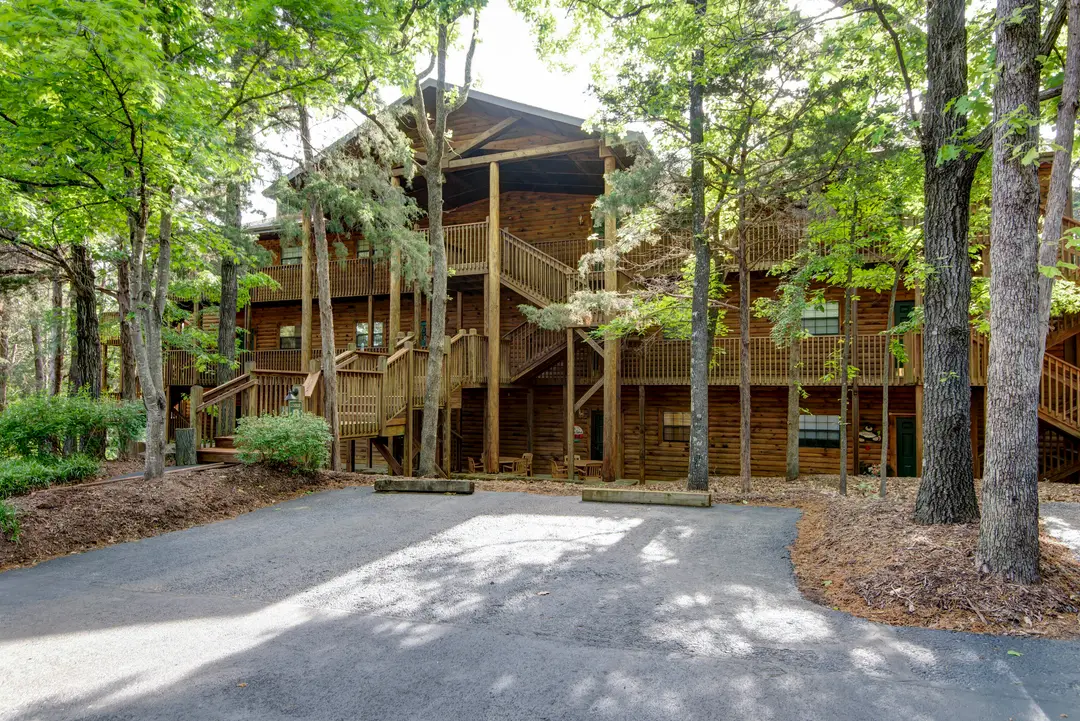 45 Leaning Tree Circle — photo 3