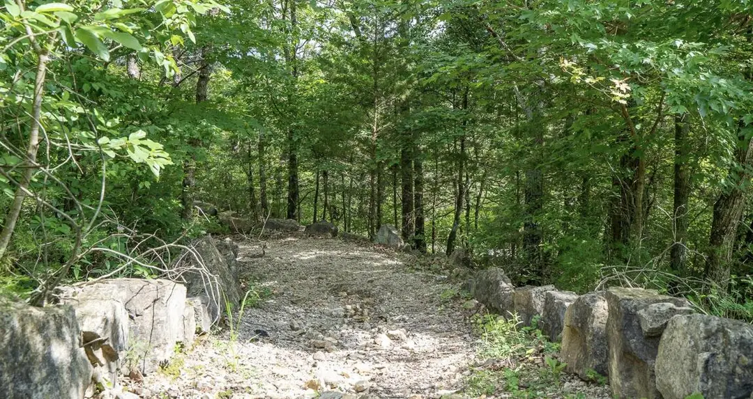 7 Treehouse Lane — photo 58