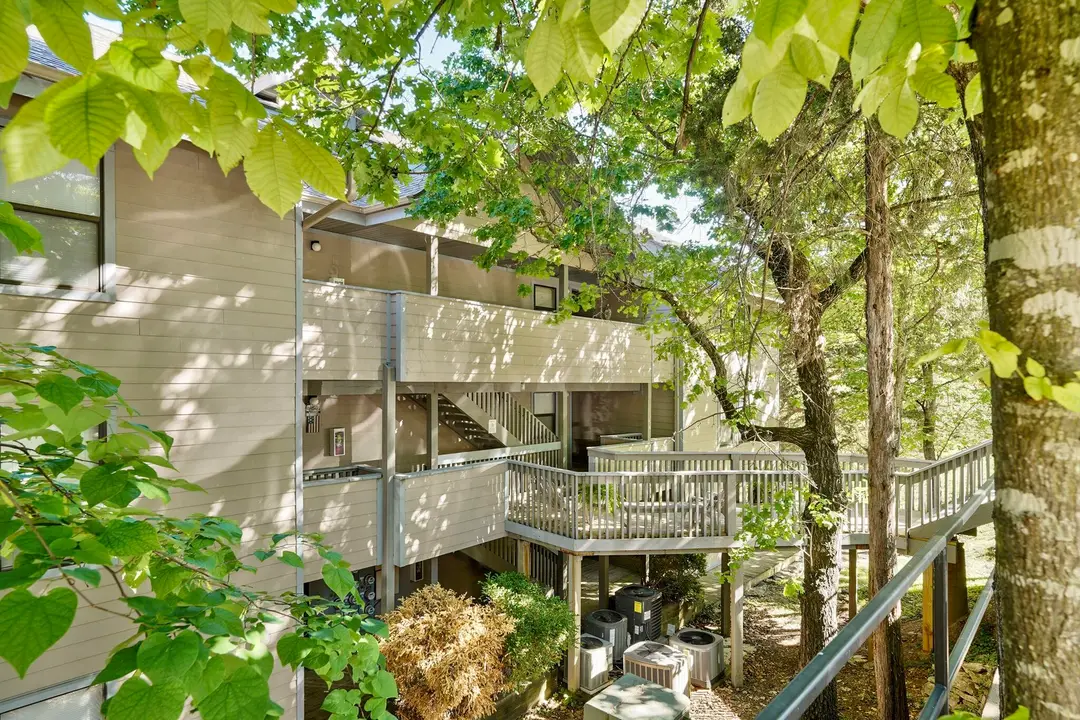 5 Treehouse Lane — photo 19