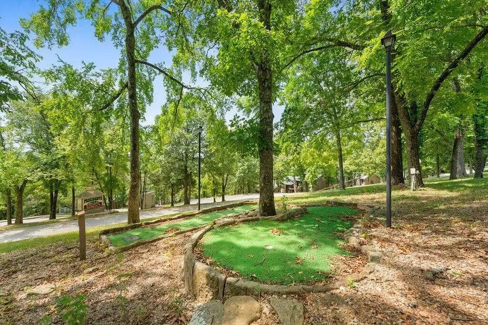 521 Ozark Mountain Resort Drive — photo 22