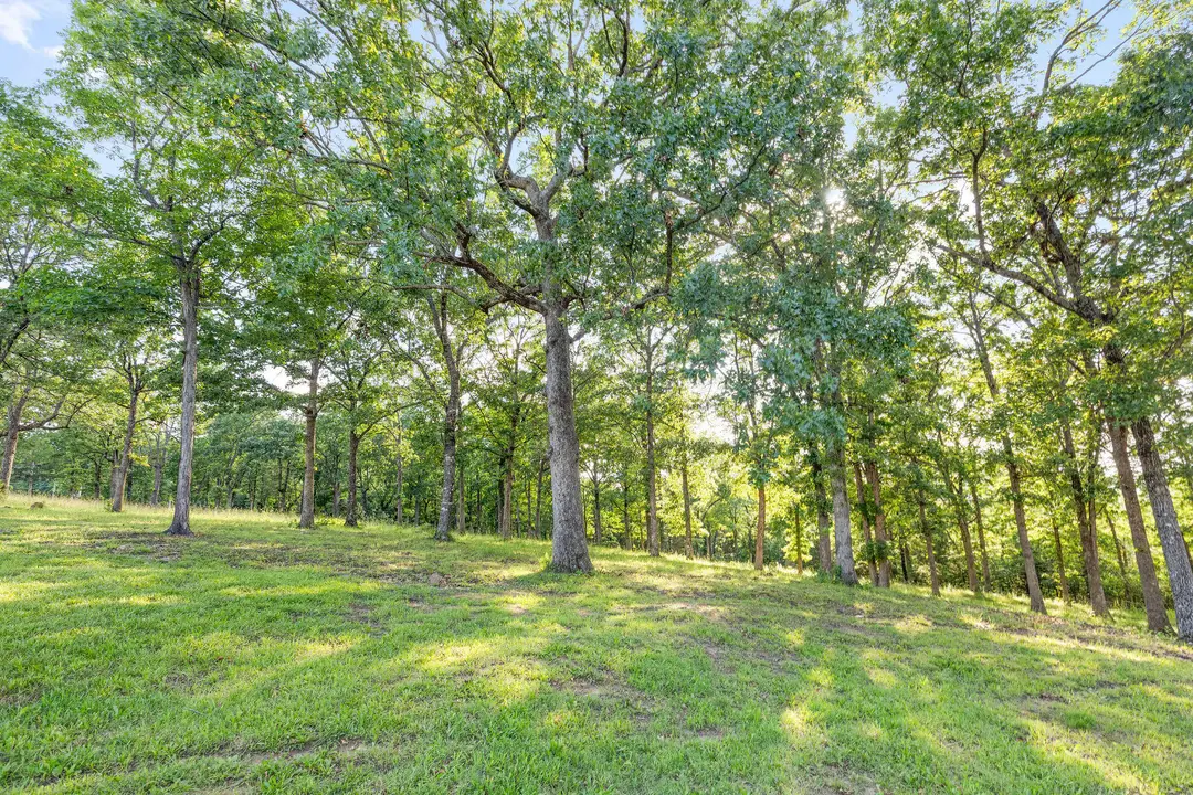 2506 Victor Church Road — photo 42
