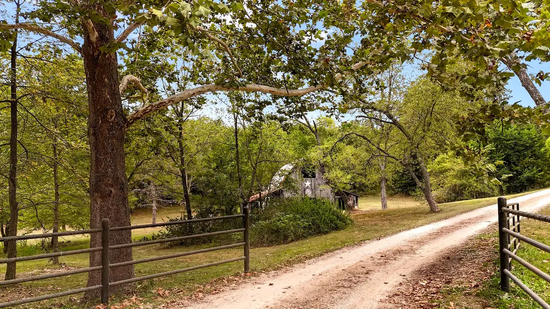 411/425 Lake Branch Road — photo 11