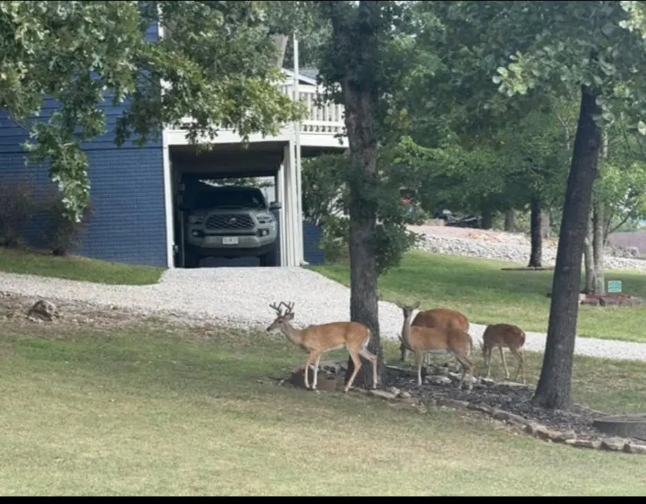 306 Deer Park Circle — photo 27