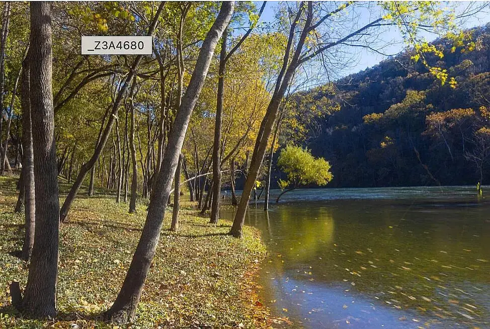 149 The Bluffs — photo 3
