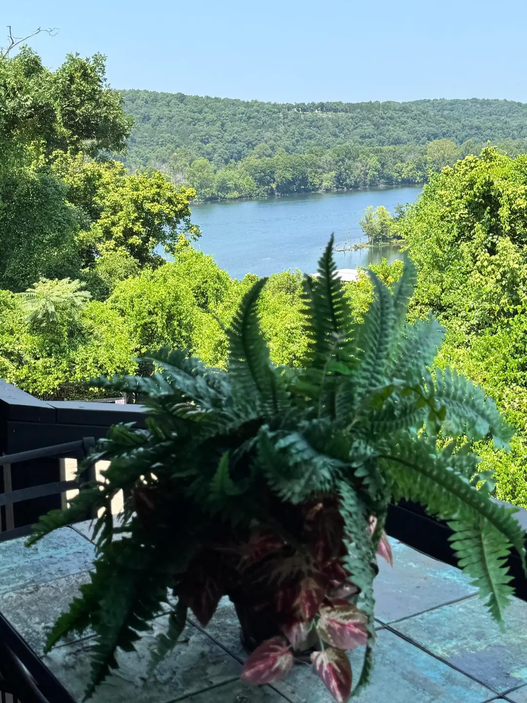 150 Sunken Forest Drive