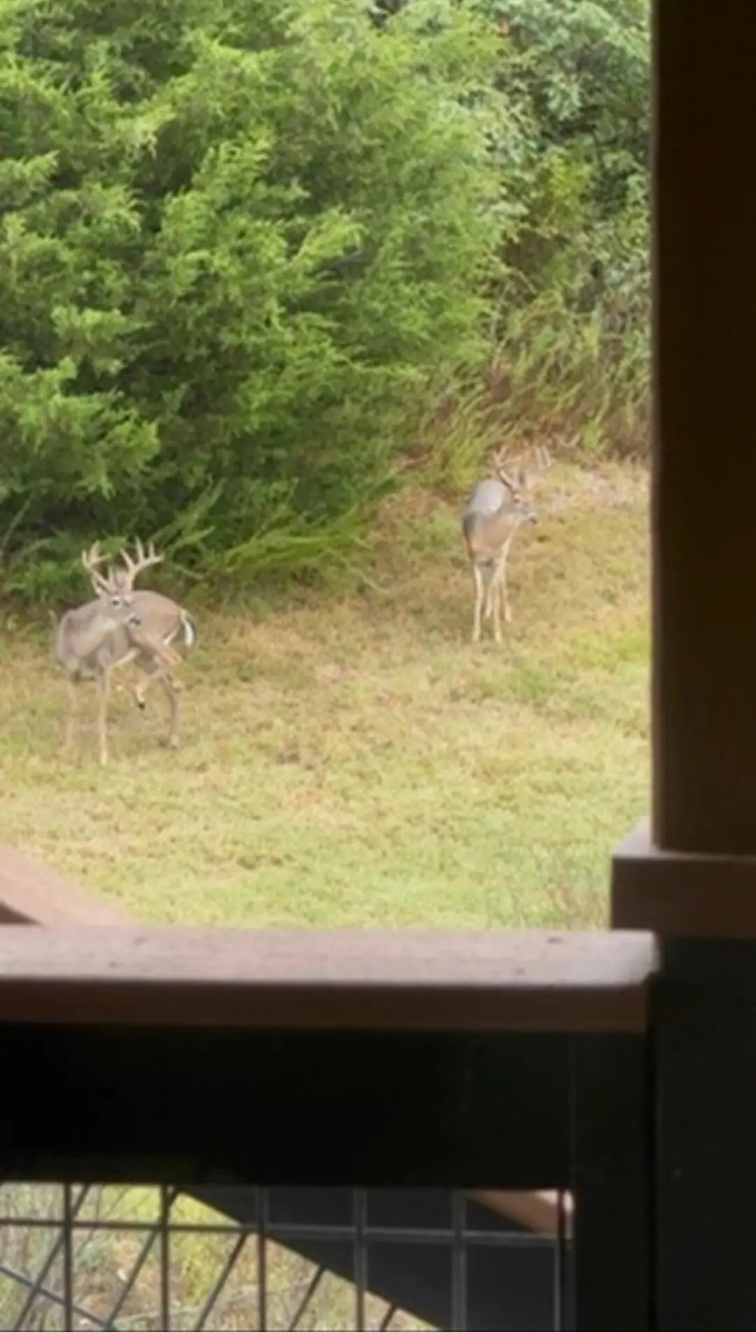 76 Hunters Drive — photo 24