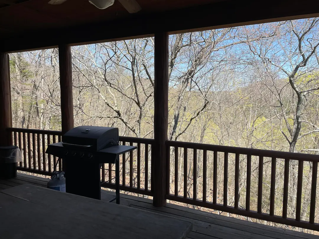 333 Willow Oak Lane — photo 25