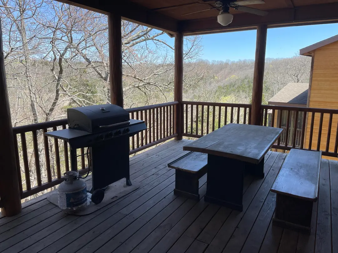 333 Willow Oak Lane — photo 5