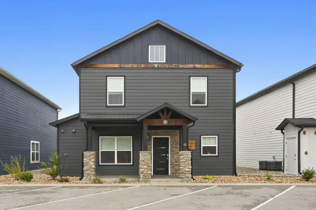 111 Chateau Mountain Lane — photo 1