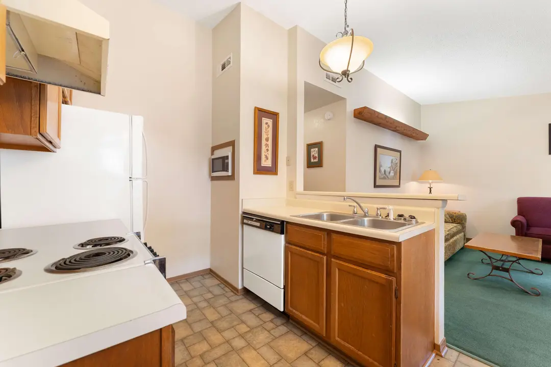 541 Ozark Mountain Resort Drive — photo 11