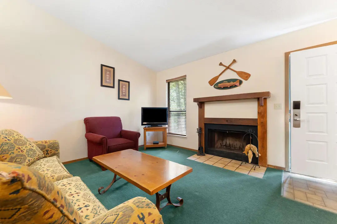 541 Ozark Mountain Resort Drive — photo 13