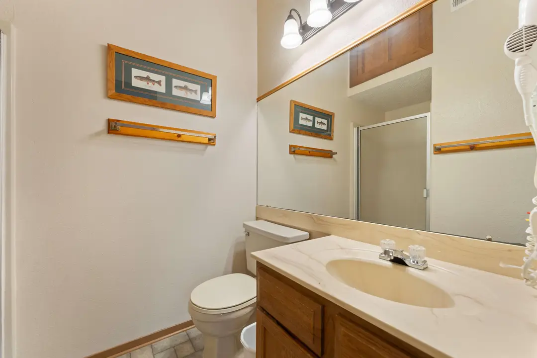 541 Ozark Mountain Resort Drive — photo 18