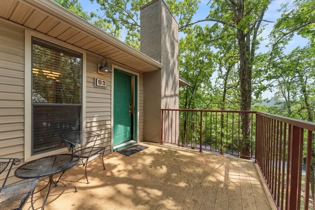 541 Ozark Mountain Resort Drive — photo 23