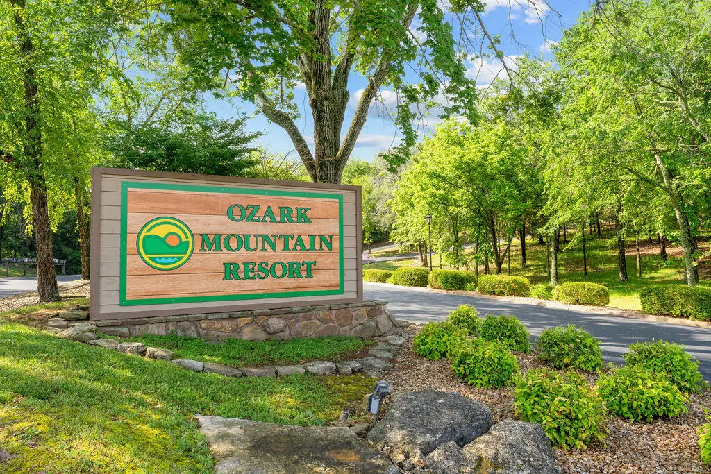 541 Ozark Mountain Resort Drive — photo 6