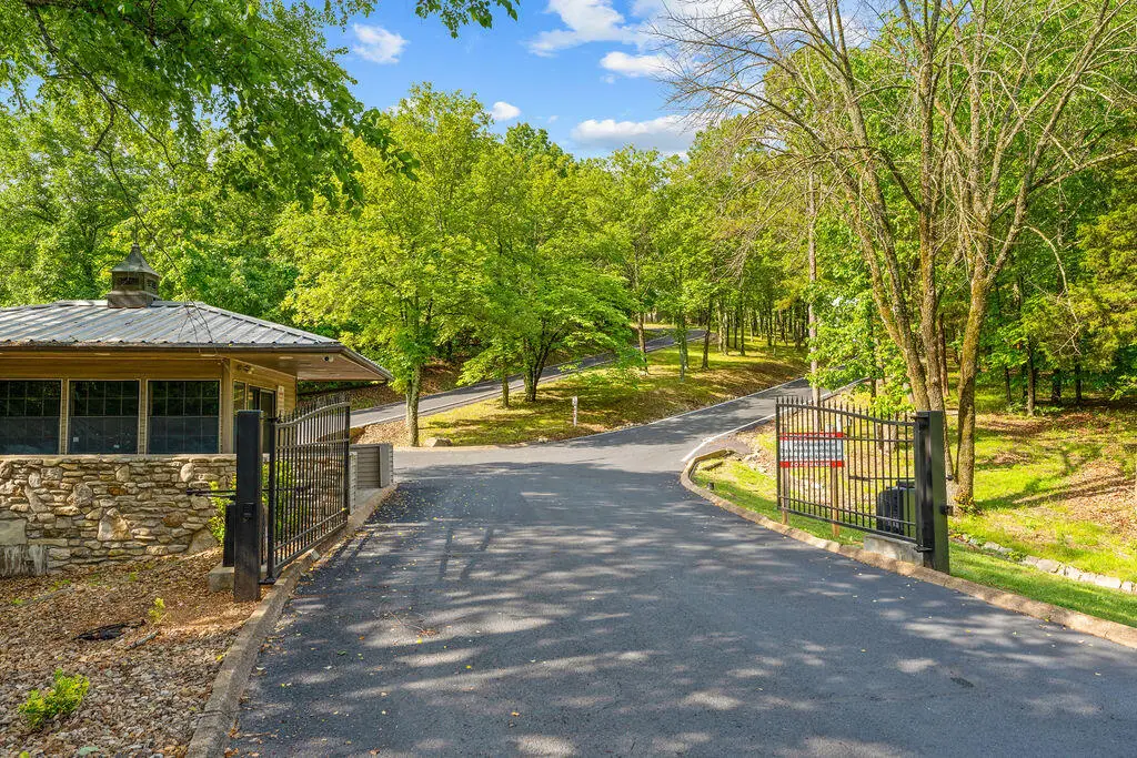 541 Ozark Mountain Resort Drive — photo 7