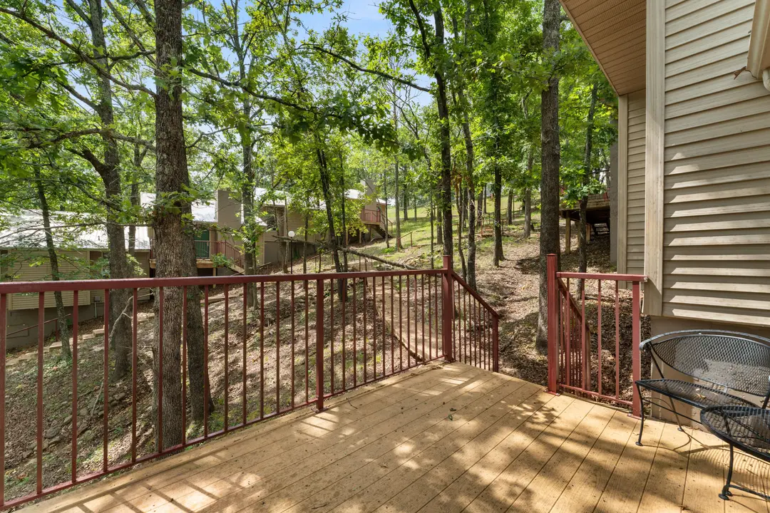 541 Ozark Mountain Resort Drive — photo 8