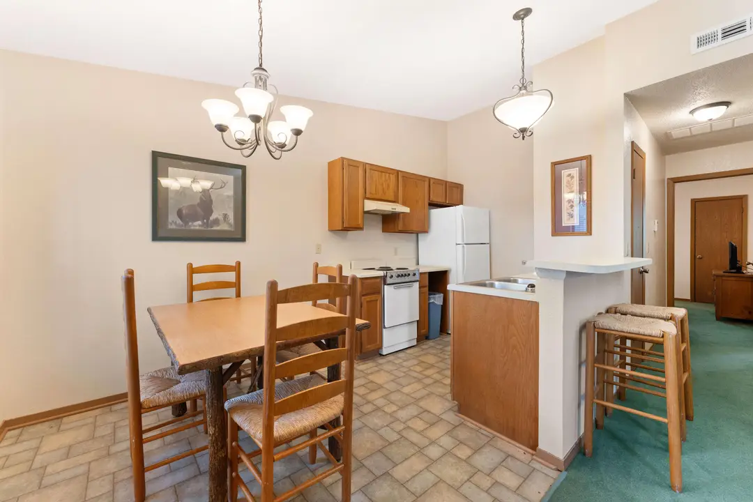 541 Ozark Mountain Resort Drive — photo 9